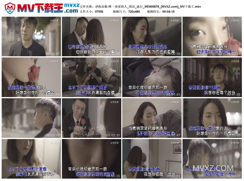 望海高歌-唯一深爱的人_国语_流行_ME900878